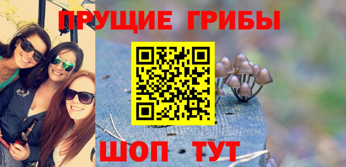 Альметьевск  Галлюциногенные грибы прущие грибы  Вход с VPN 